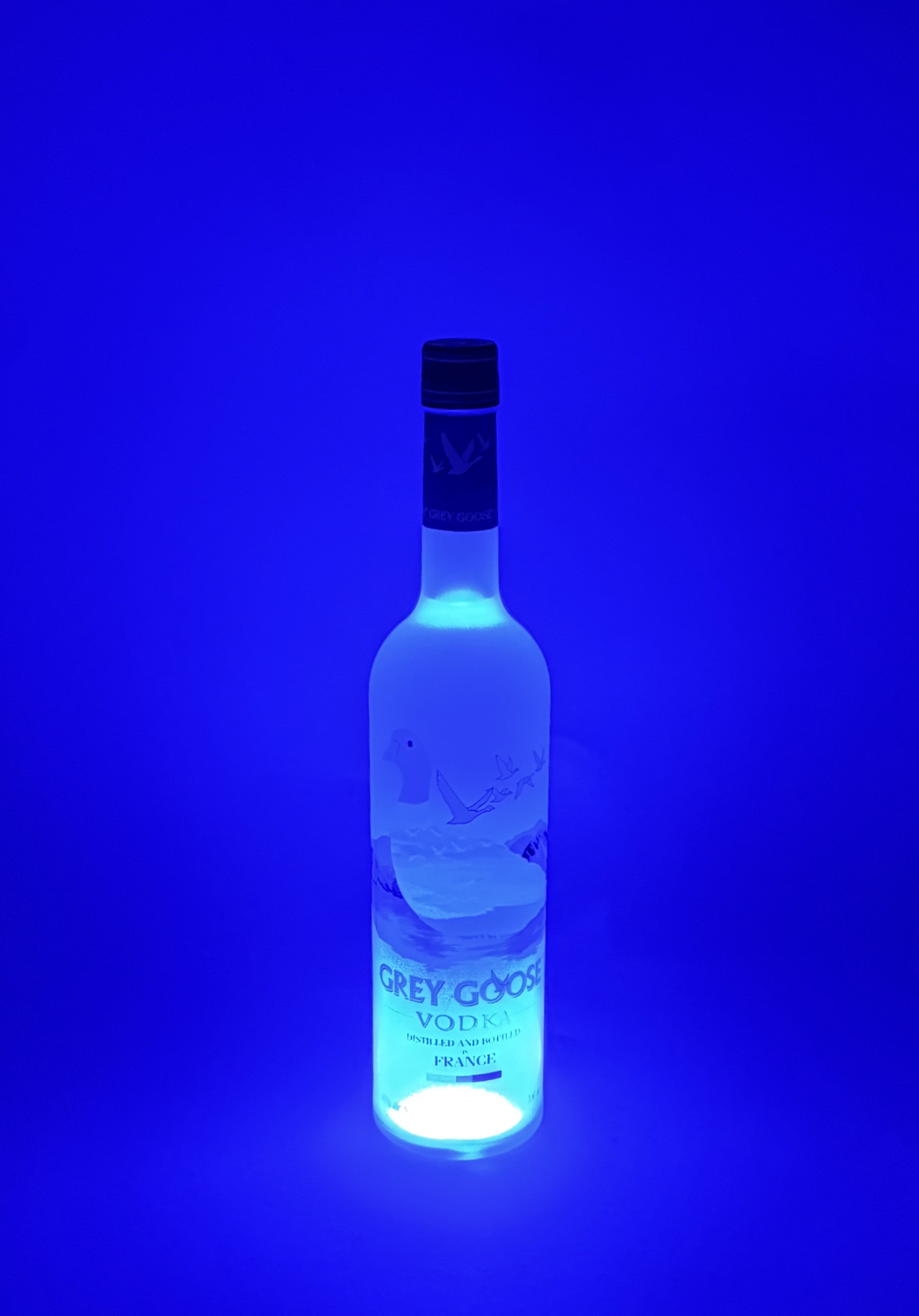 LED Untersetzer Haftend Blau